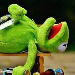 Meet your Posher, Shelby